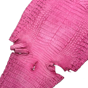 Pink Caiman Crocodile - Only 1 Available! | SALE