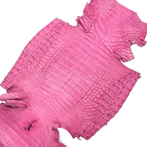 Pink Caiman Crocodile - Only 1 Available! | SALE