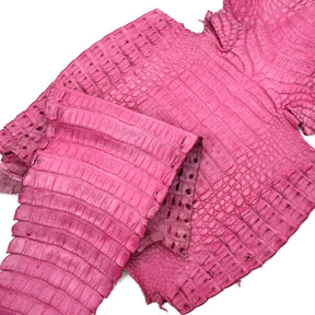 Pink Caiman Crocodile - Only 1 Available! | SALE