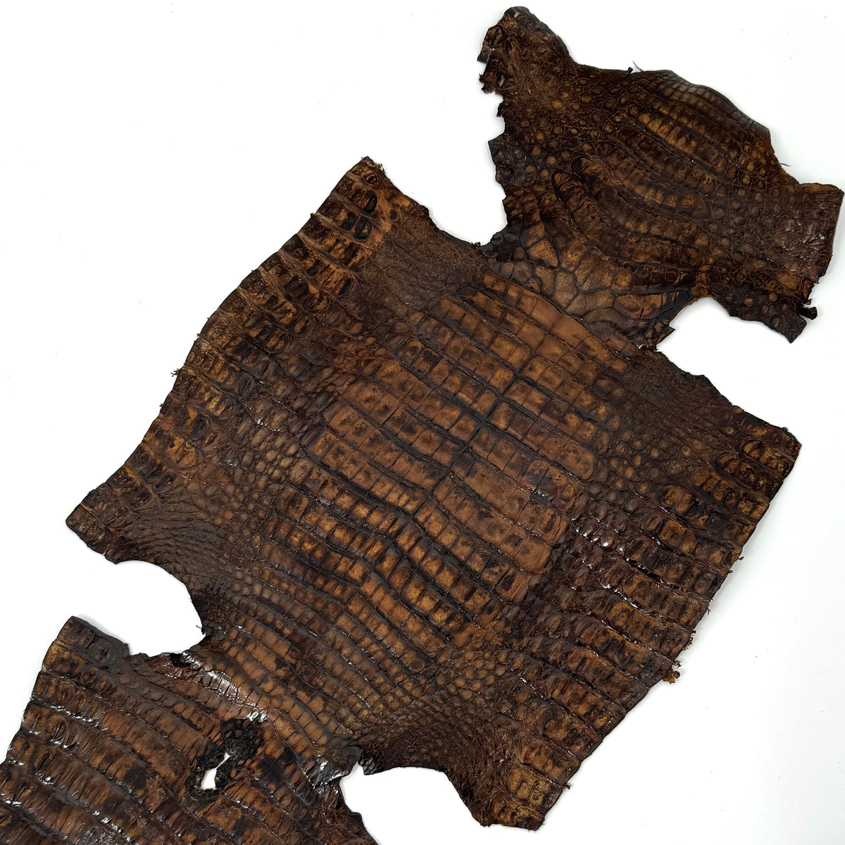 Vintage Cognac Caiman Crocodile - Only 1 Available! | SALE