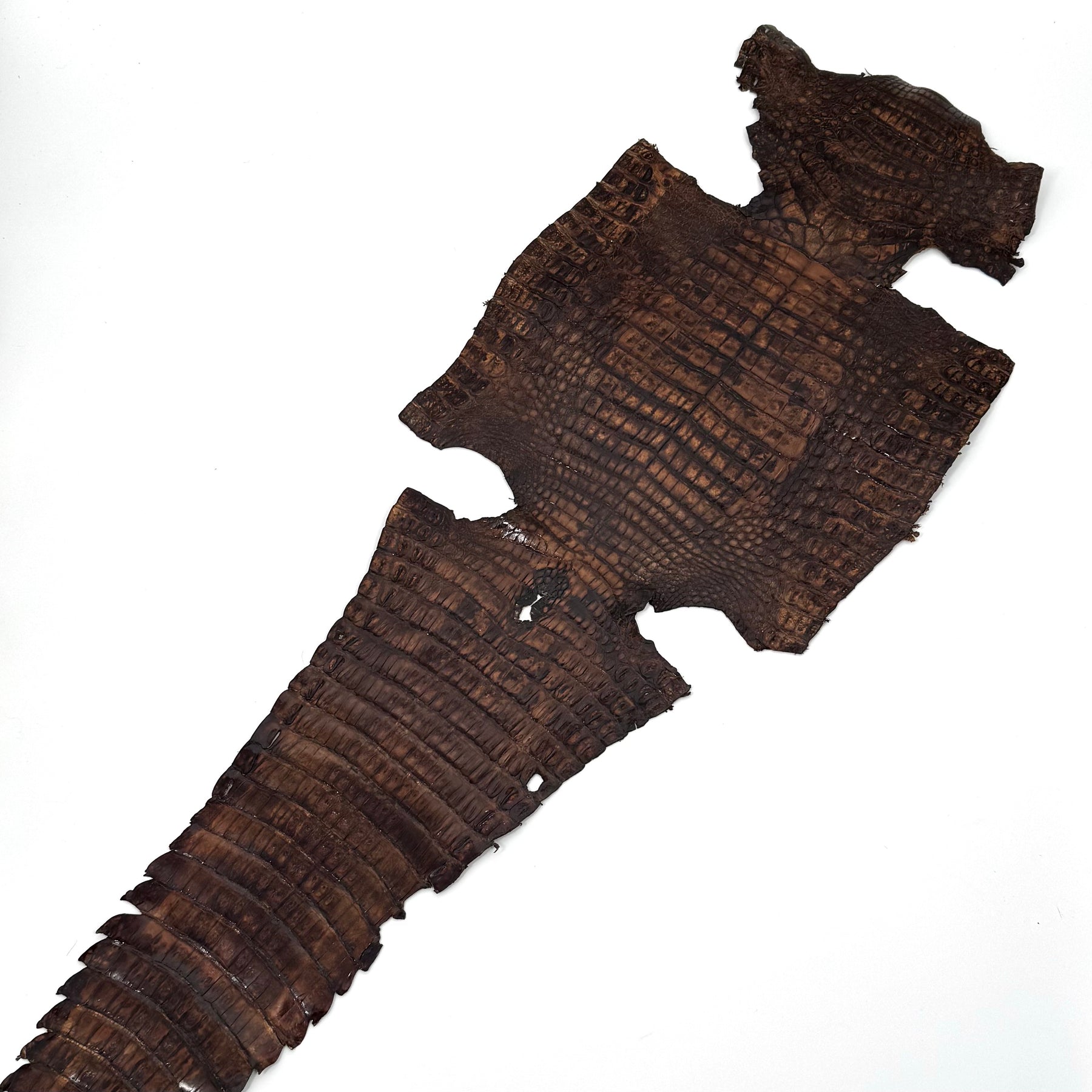 Vintage Cognac Caiman Crocodile - Only 1 Available! | SALE