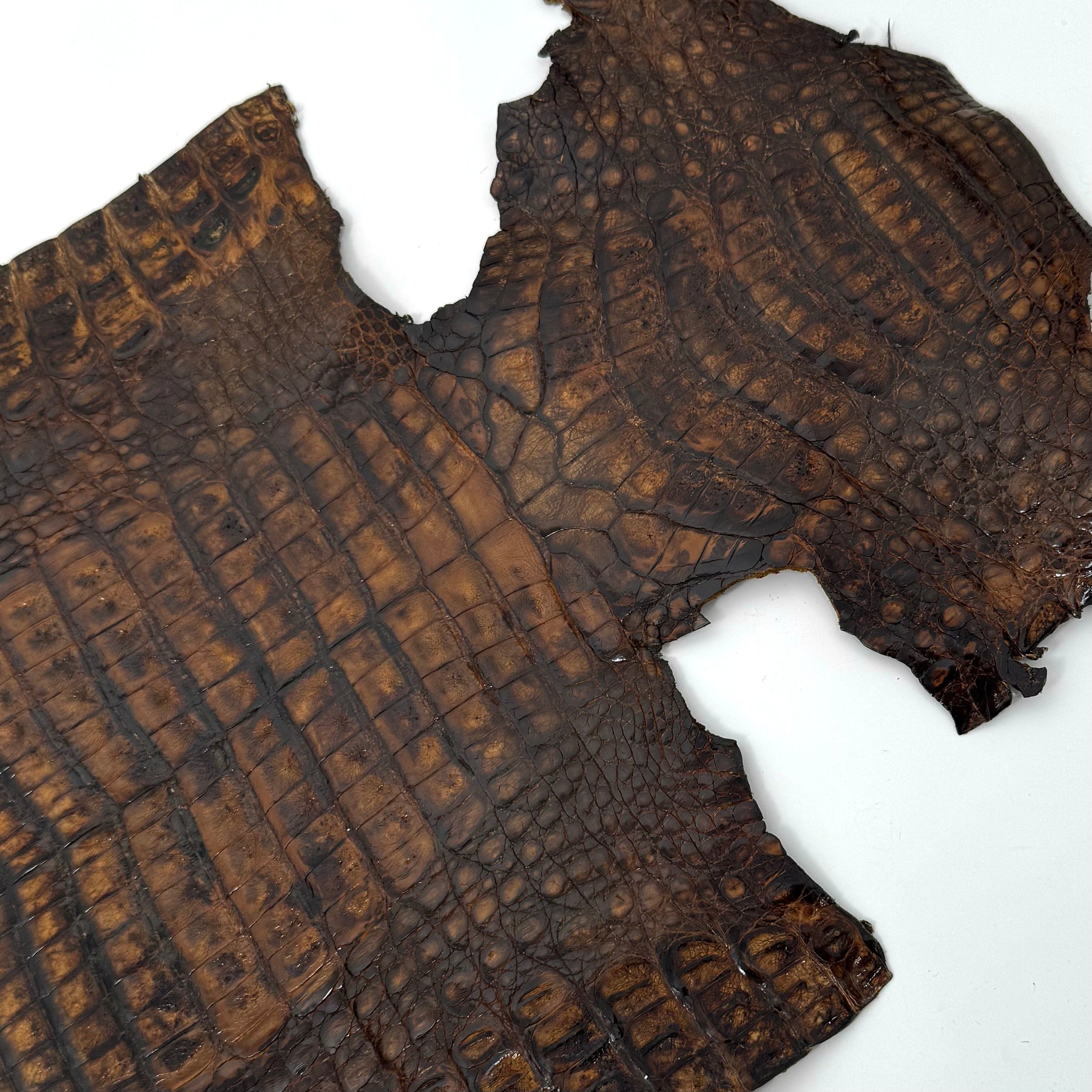 Vintage Cognac Caiman Crocodile - Only 1 Available! | SALE