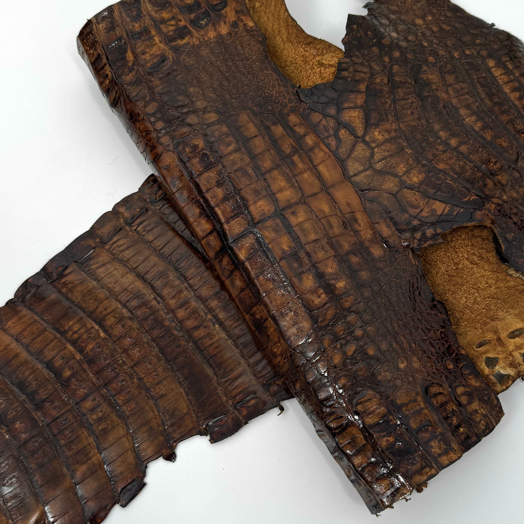 Vintage Cognac Caiman Crocodile - Only 1 Available! | SALE