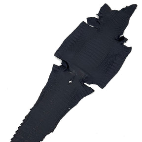 Midnight Navy Caiman Crocodile - Only 1 Available! | SALE