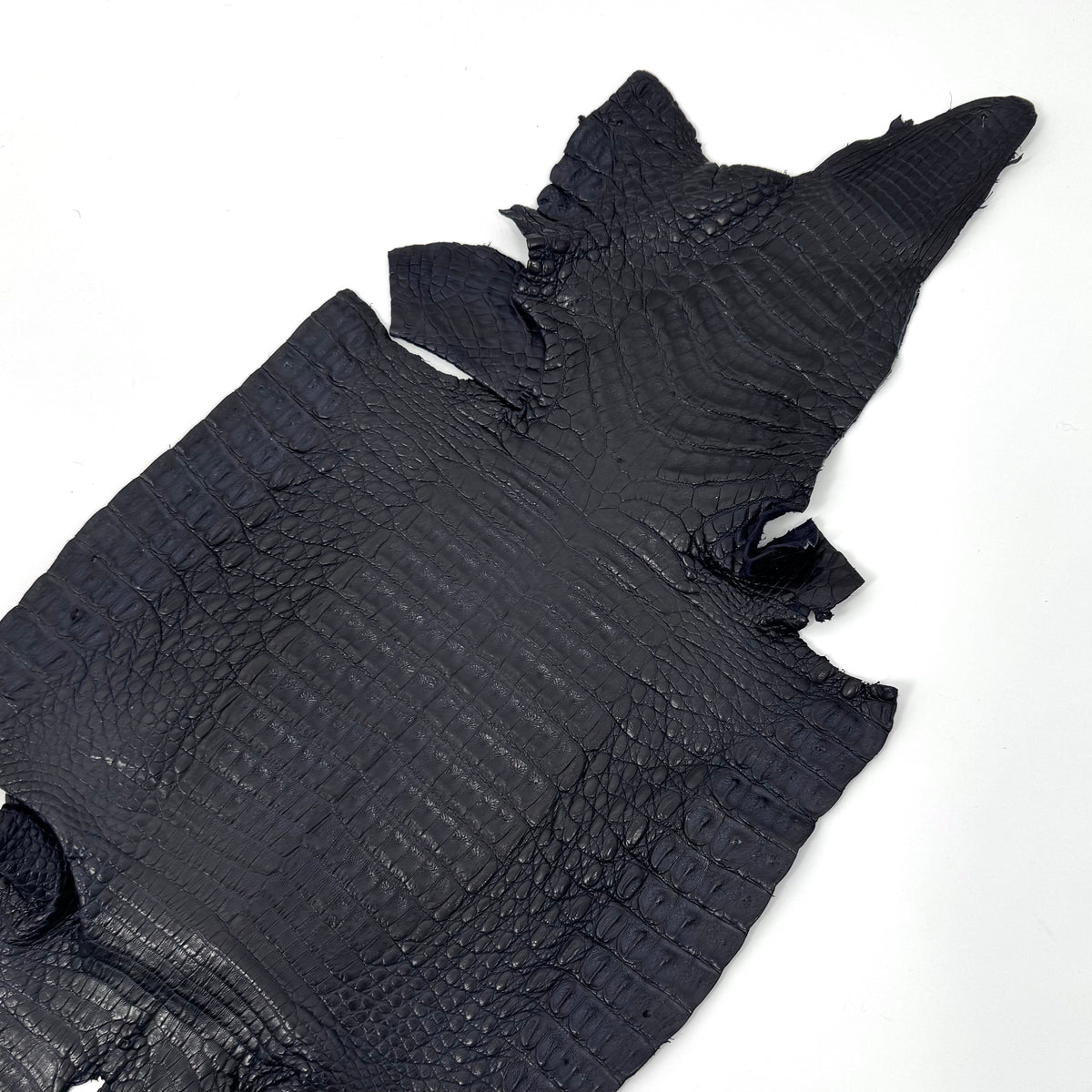 Midnight Navy Caiman Crocodile - Only 1 Available! | SALE