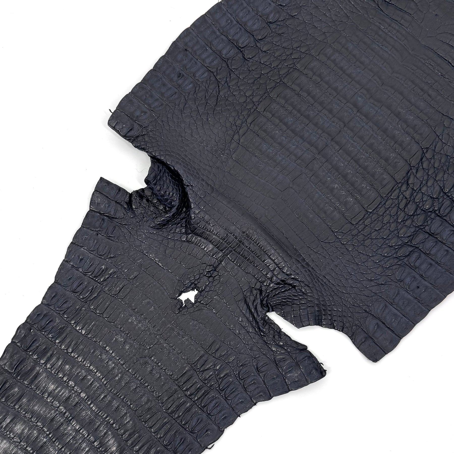 Midnight Navy Caiman Crocodile - Only 1 Available! | SALE