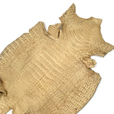 Beige Toast Caiman Crocodile - Only 1 Available! | SALE