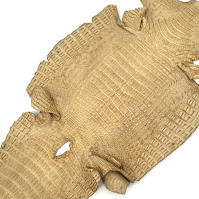 Beige Toast Caiman Crocodile - Only 1 Available! | SALE