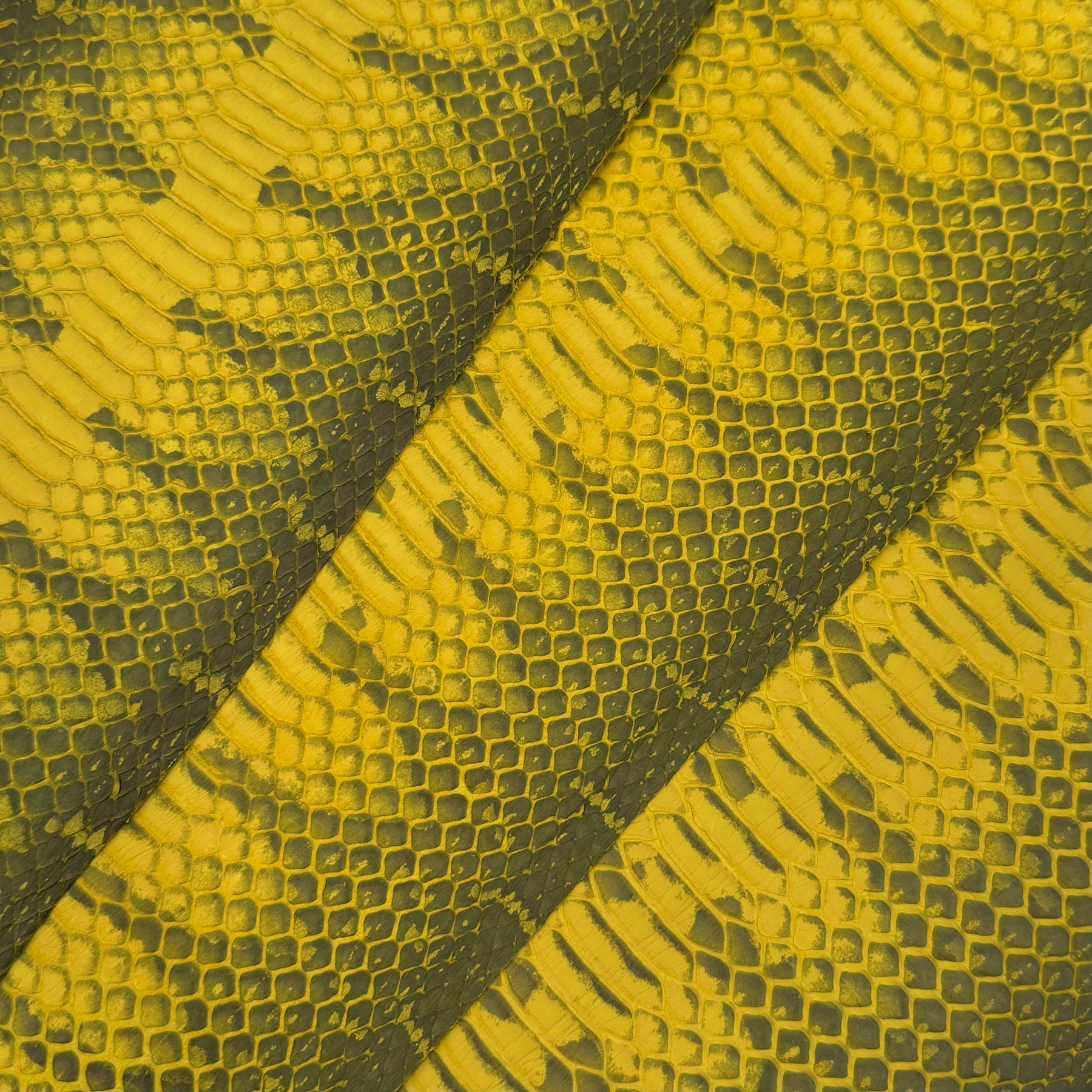 Yellow Genuine Elaphe Snakeskin | SALE