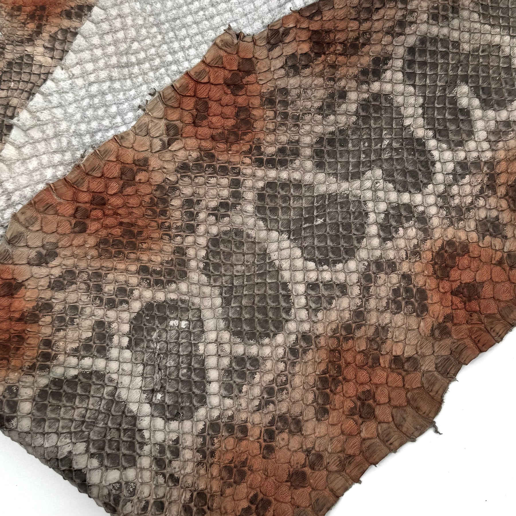 Mutlicolor Python Cut #2A - Only 1 Available! | SALE