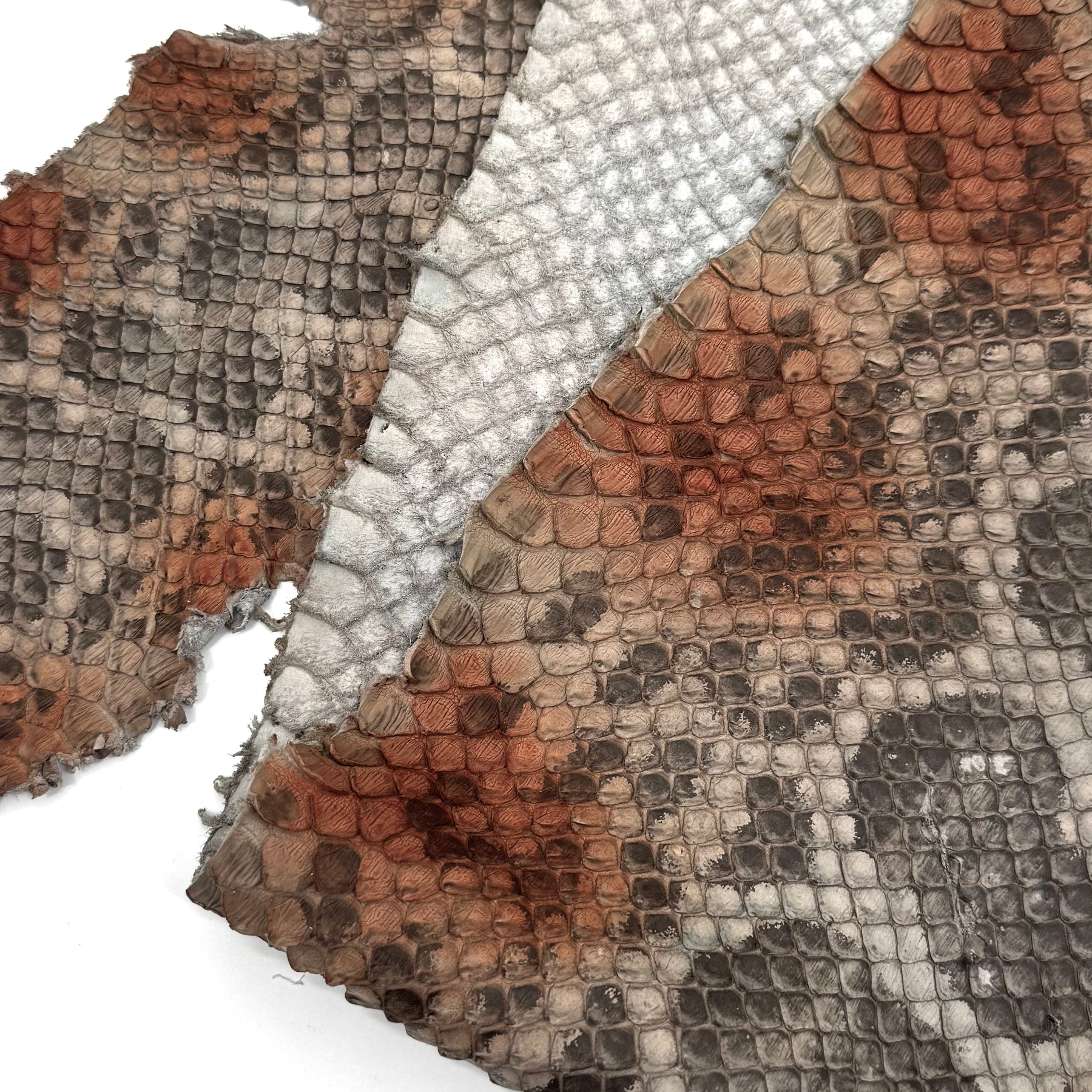 Mutlicolor Python Cut #2A - Only 1 Available! | SALE