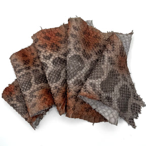 Mutlicolor Python Cut #2A - Only 1 Available! | SALE