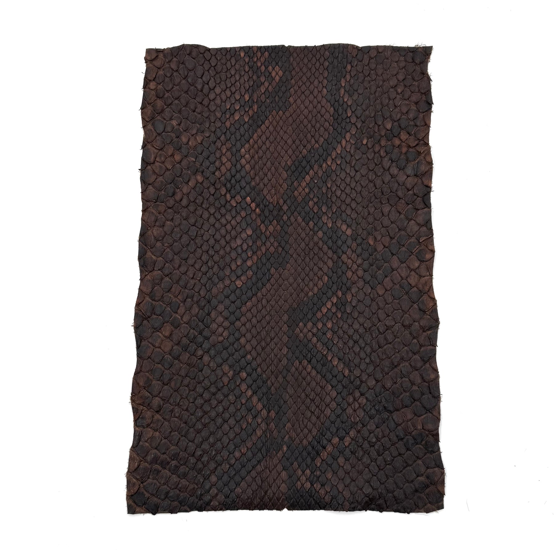 Dark Brown Python Cut #1A - Only 1 Available! | SALE