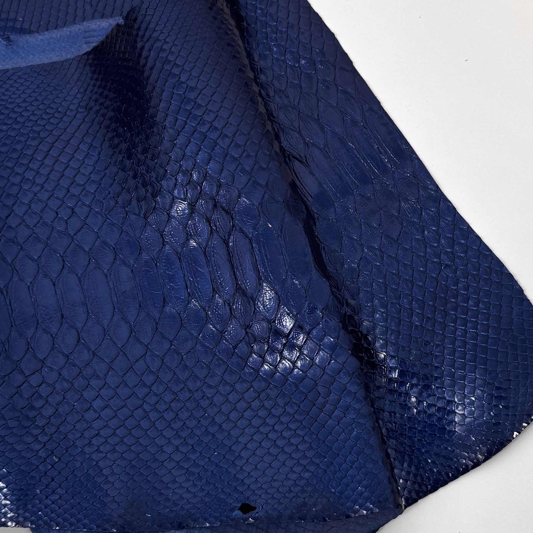 Glazed Blue Python Cut #3A - Only 1 Available! | SALE