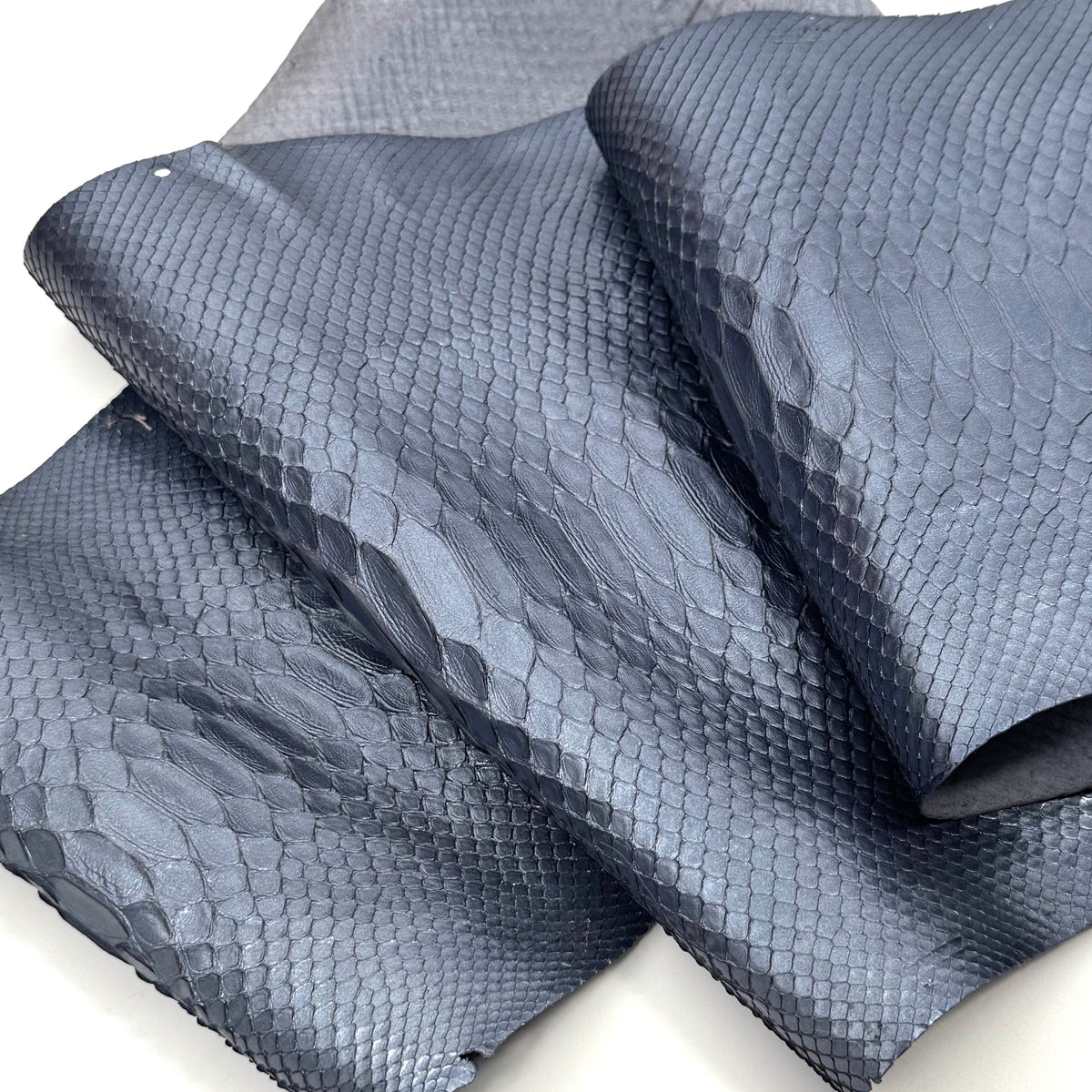 Ice Short Tail Python - Only 2 Available! | SALE