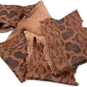 Pumpkin Brown Python Cut #6A - Only 1 Available! | SALE