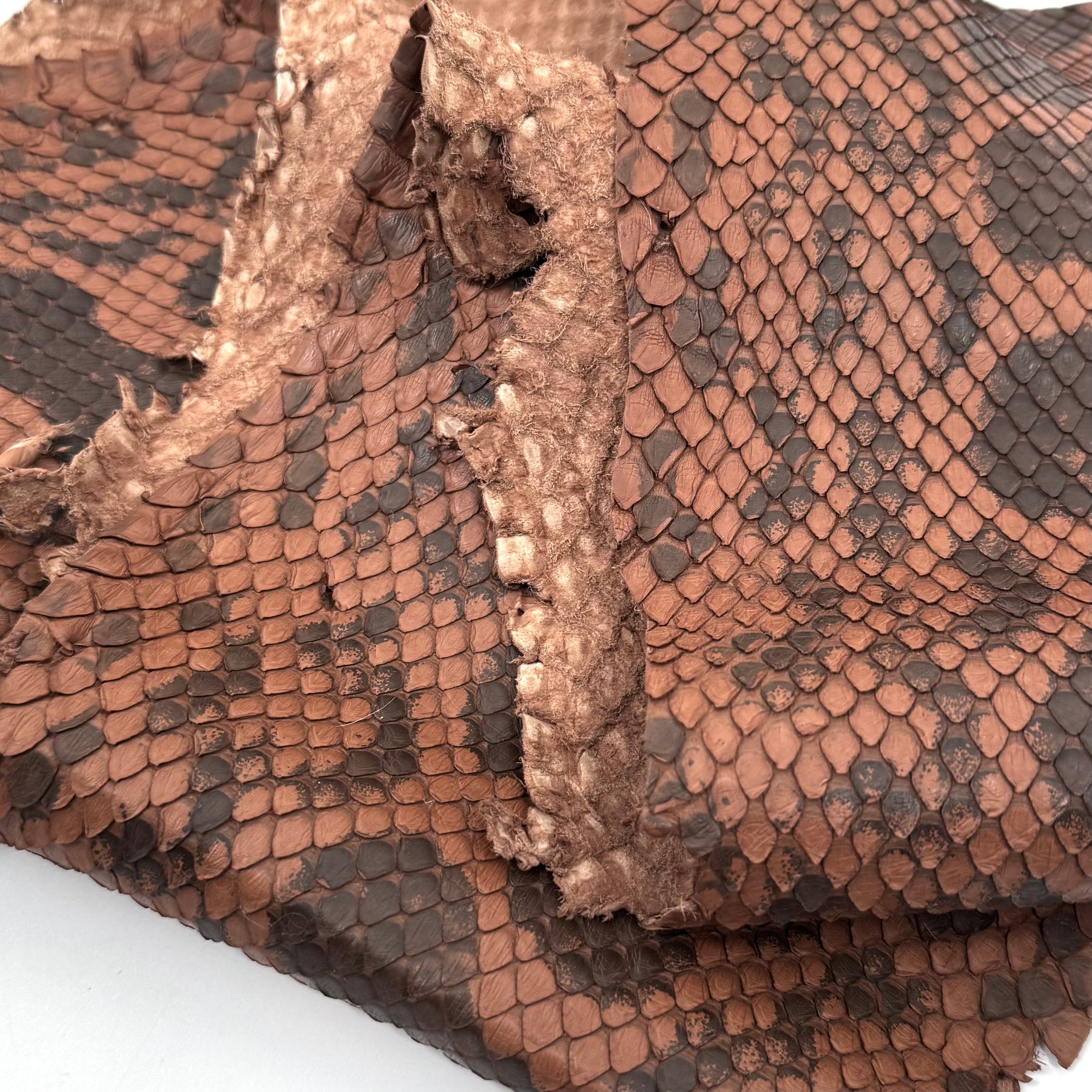 Pumpkin Brown Python Cut #6A - Only 1 Available! | SALE