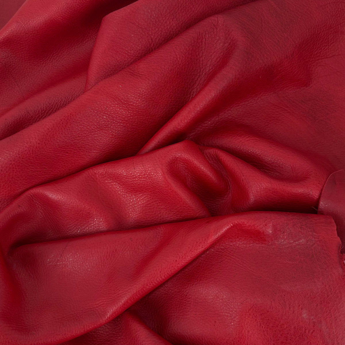 Naked South African Kudu Leather | Limited Stock