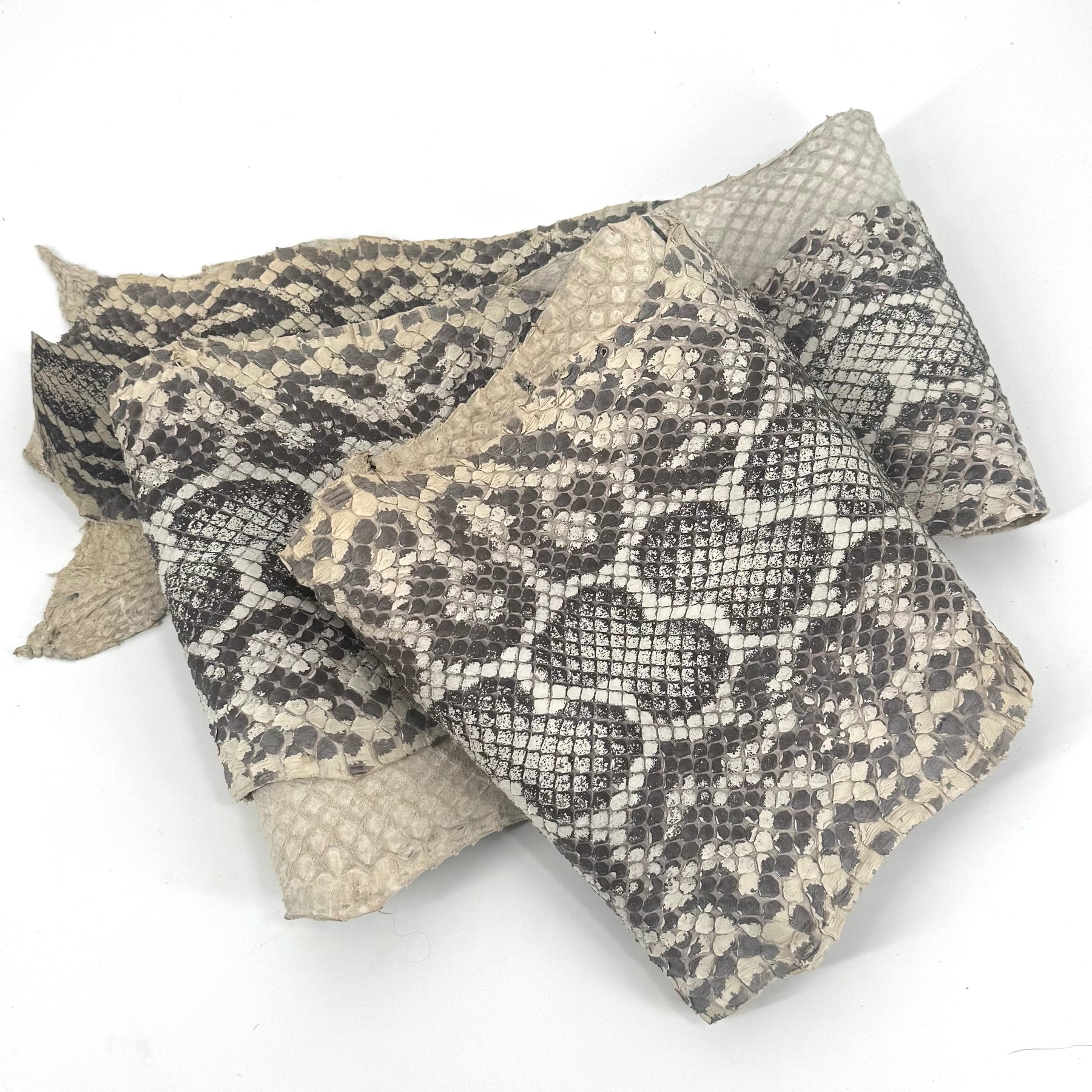 Natural Python Cut #7B - Only 1 Available | SALE