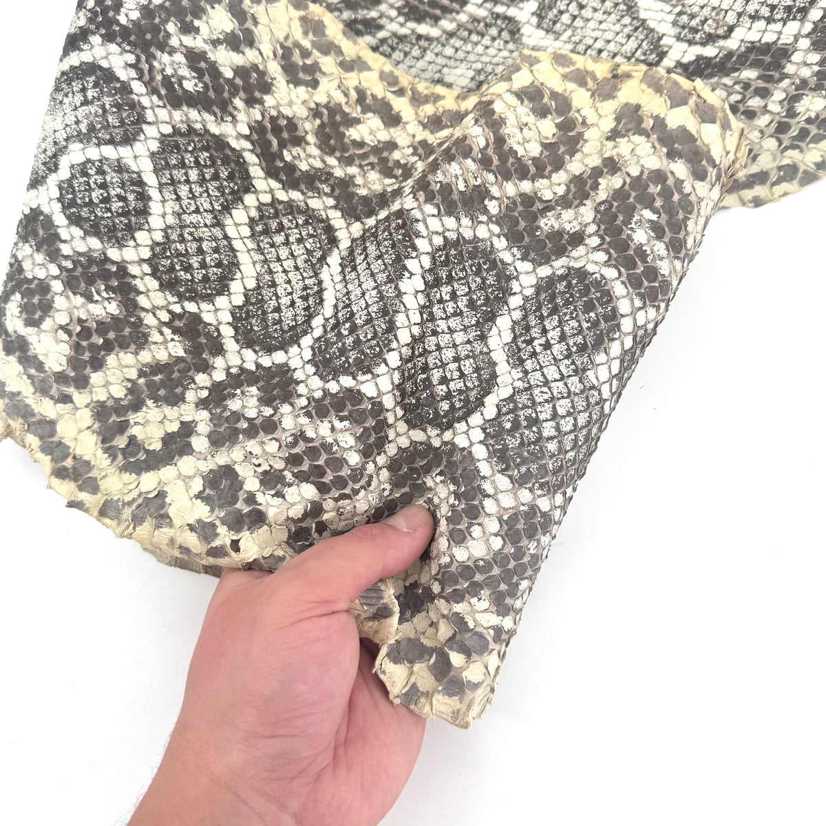 Natural Python Cut #7B - Only 1 Available | SALE