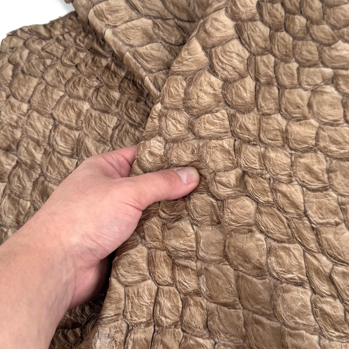 Sesame Pirarucu Fish Leather