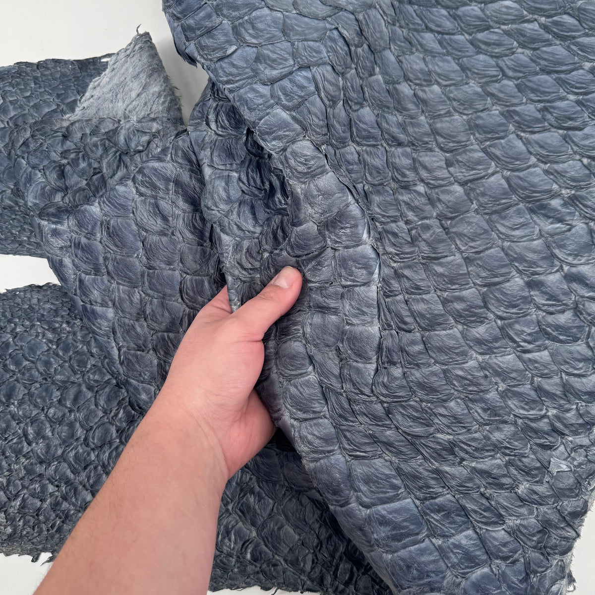 Sea Pirarucu Fish Leather