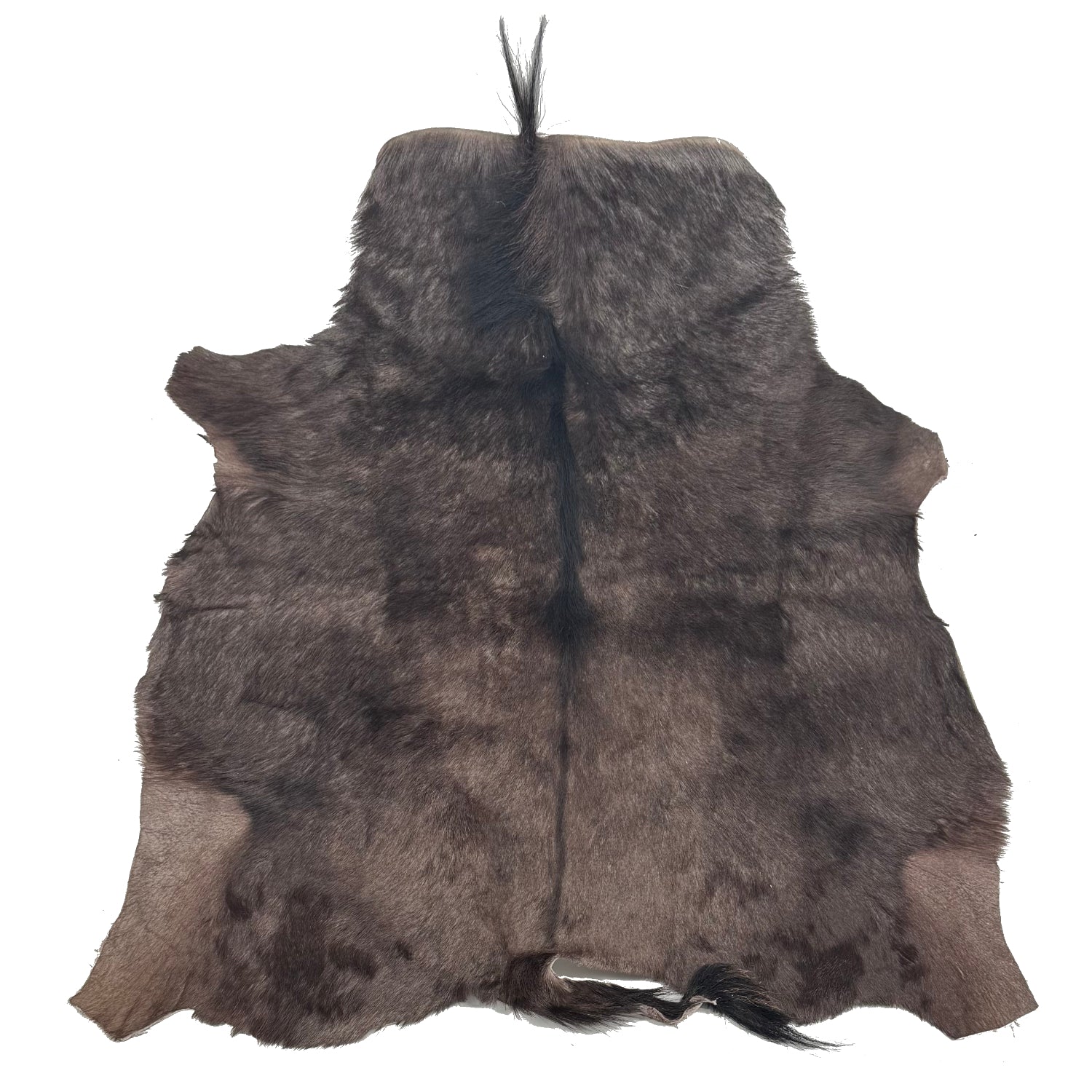 Wildebeest Hide | Only 1 available!