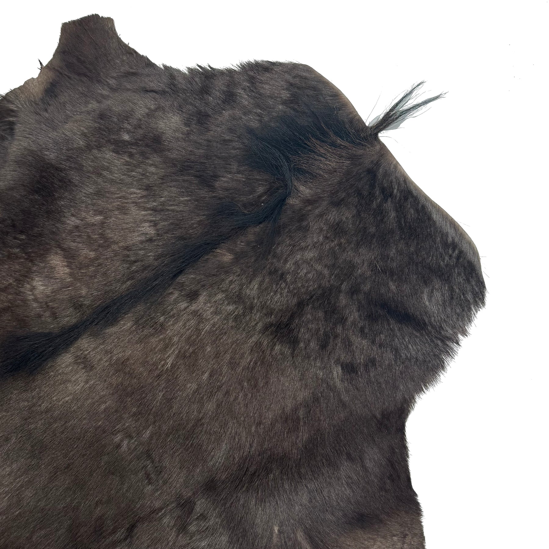 Wildebeest Hide | Only 1 available!