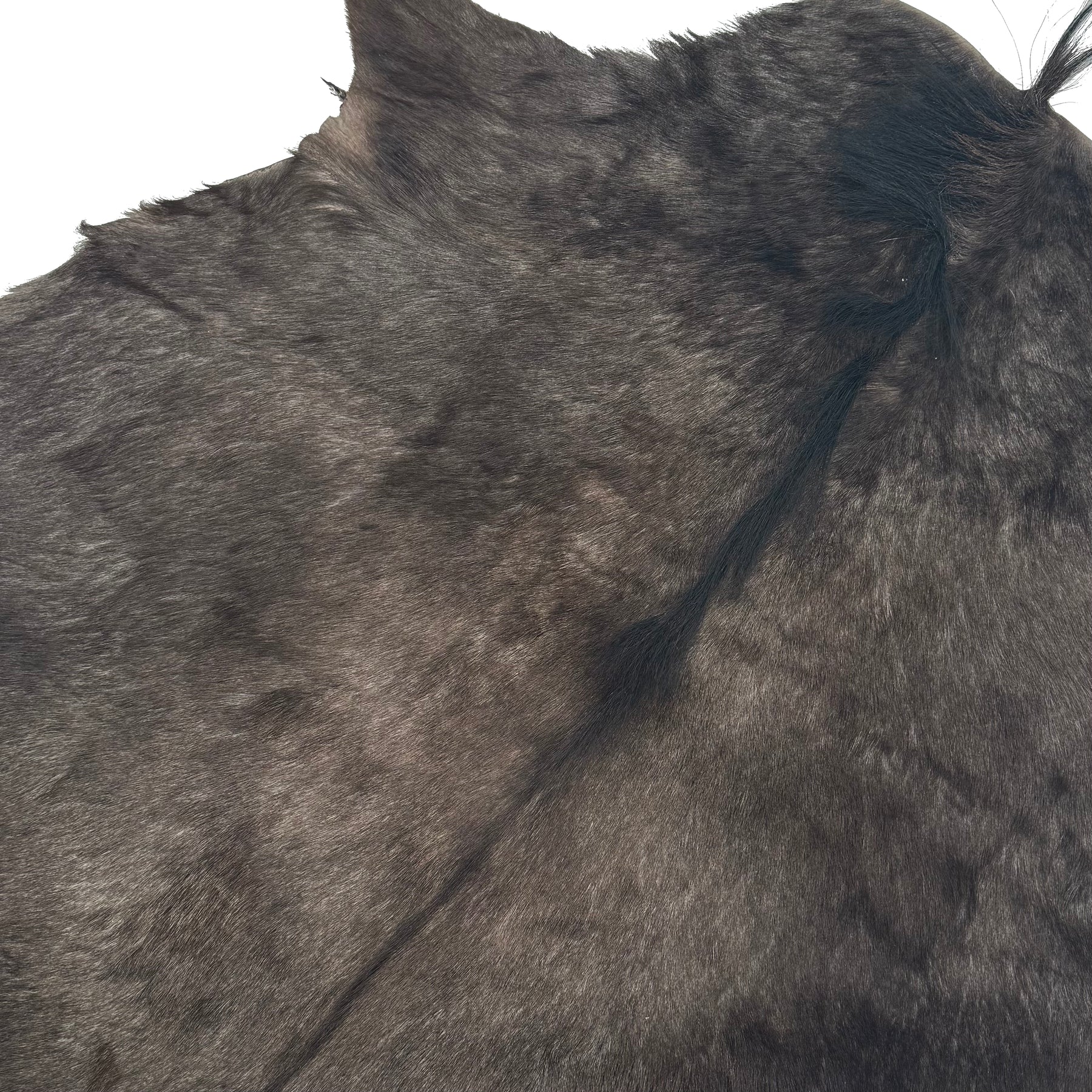 Wildebeest Hide | Only 1 available!