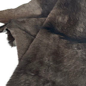 Wildebeest Hide | Only 1 available!