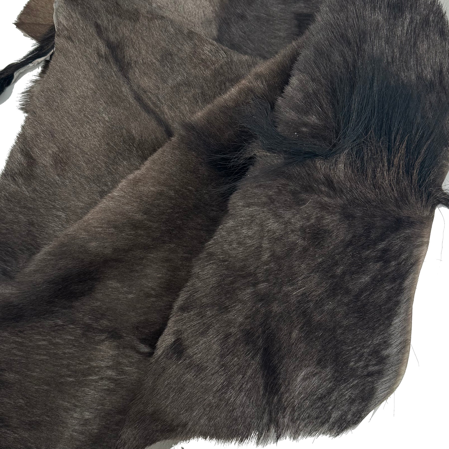 Wildebeest Hide | Only 1 available!