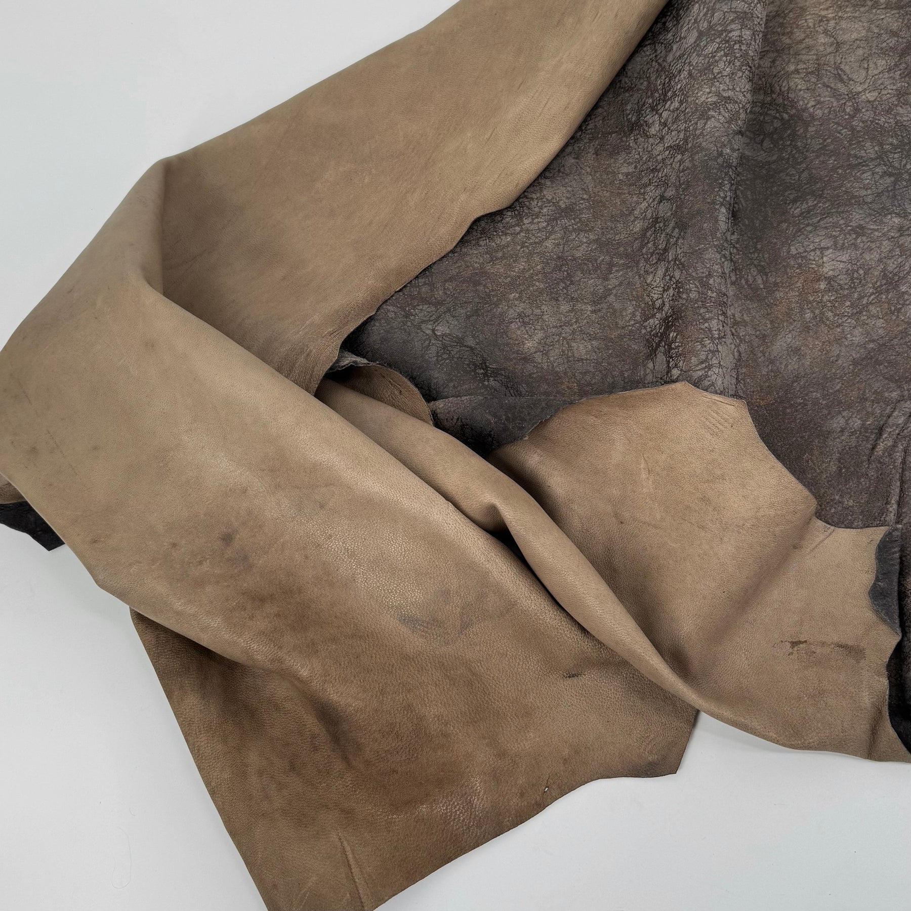 Weathered Distressed Lamb with Bronze Metallic Accents