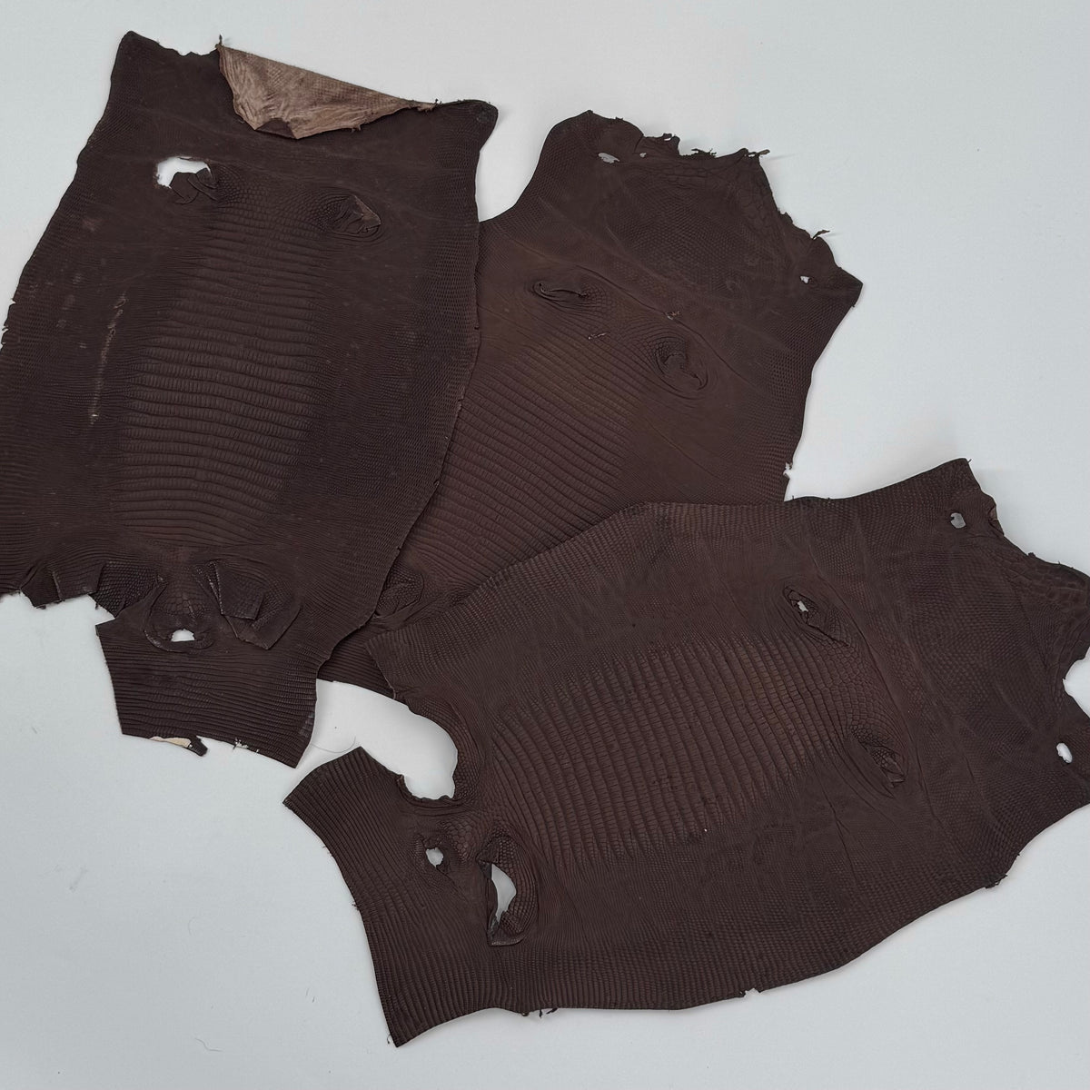 Brown Lizard Skin Bundle of 3 - B#1 | SALE