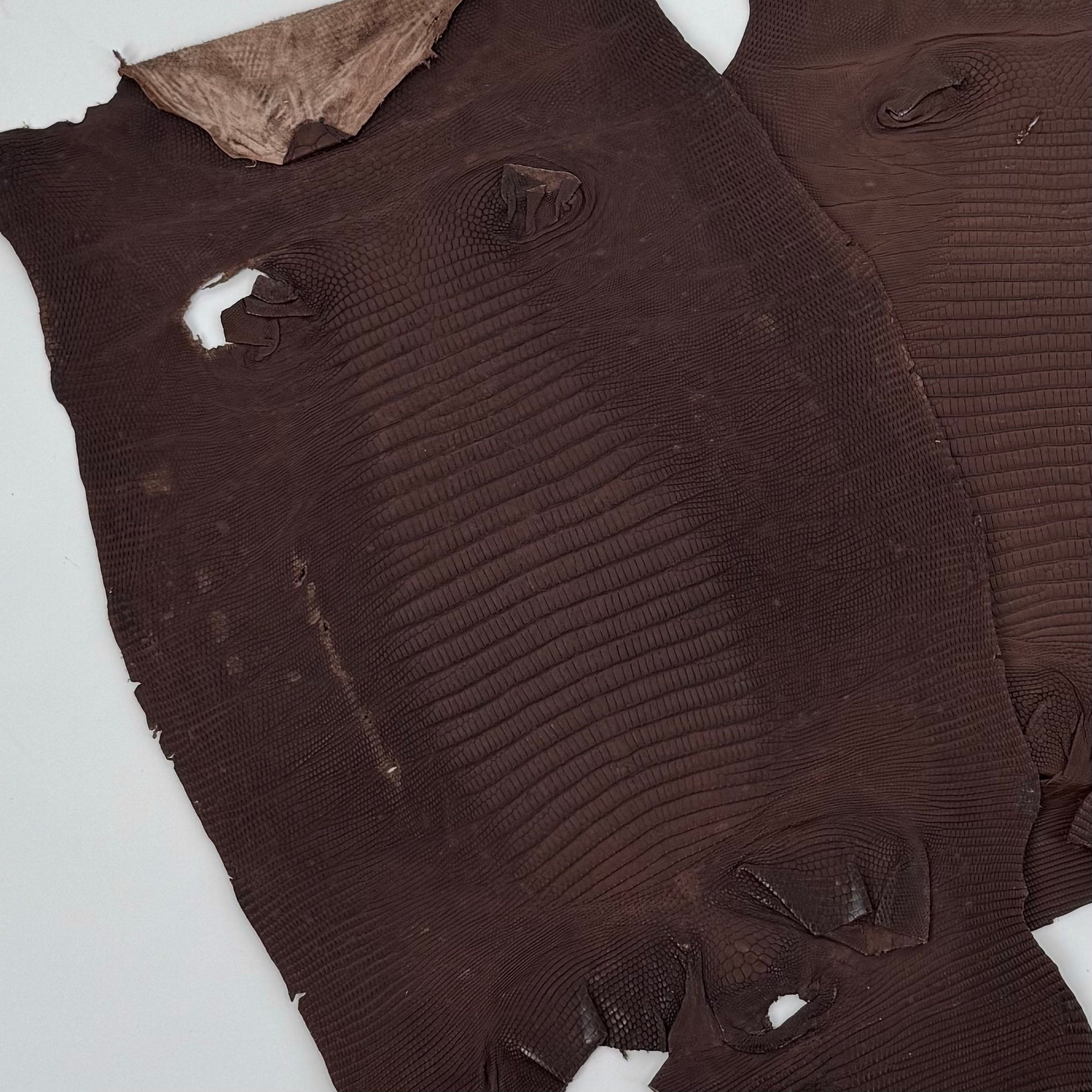 Brown Lizard Skin Bundle of 3 - B#1 | SALE