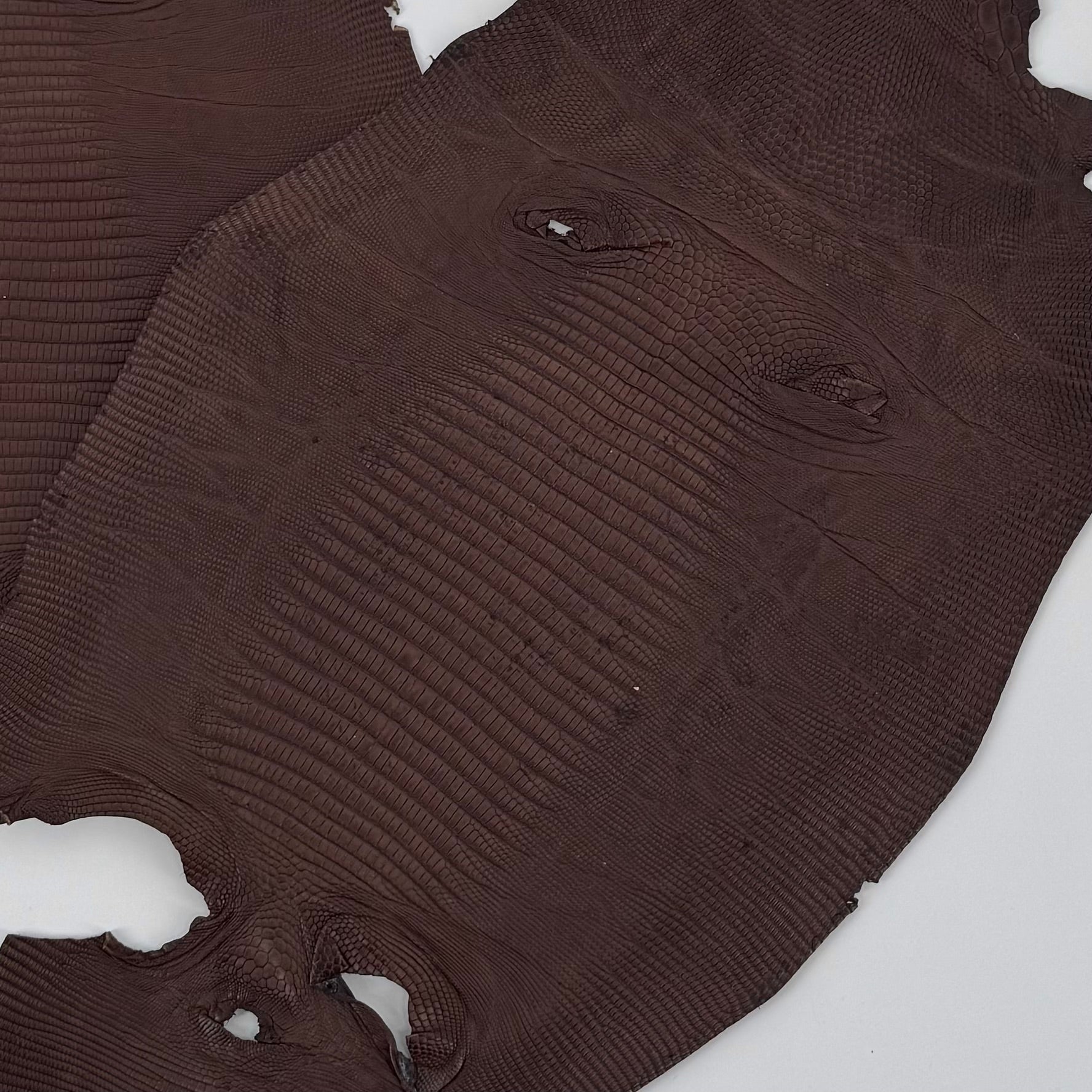 Brown Lizard Skin Bundle of 3 - B#1 | SALE