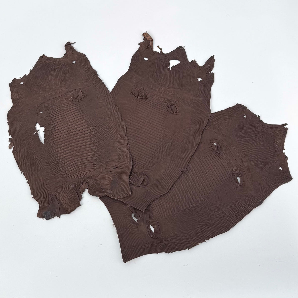 Brown Lizard Skin Bundle of 3 - B#2A | SALE
