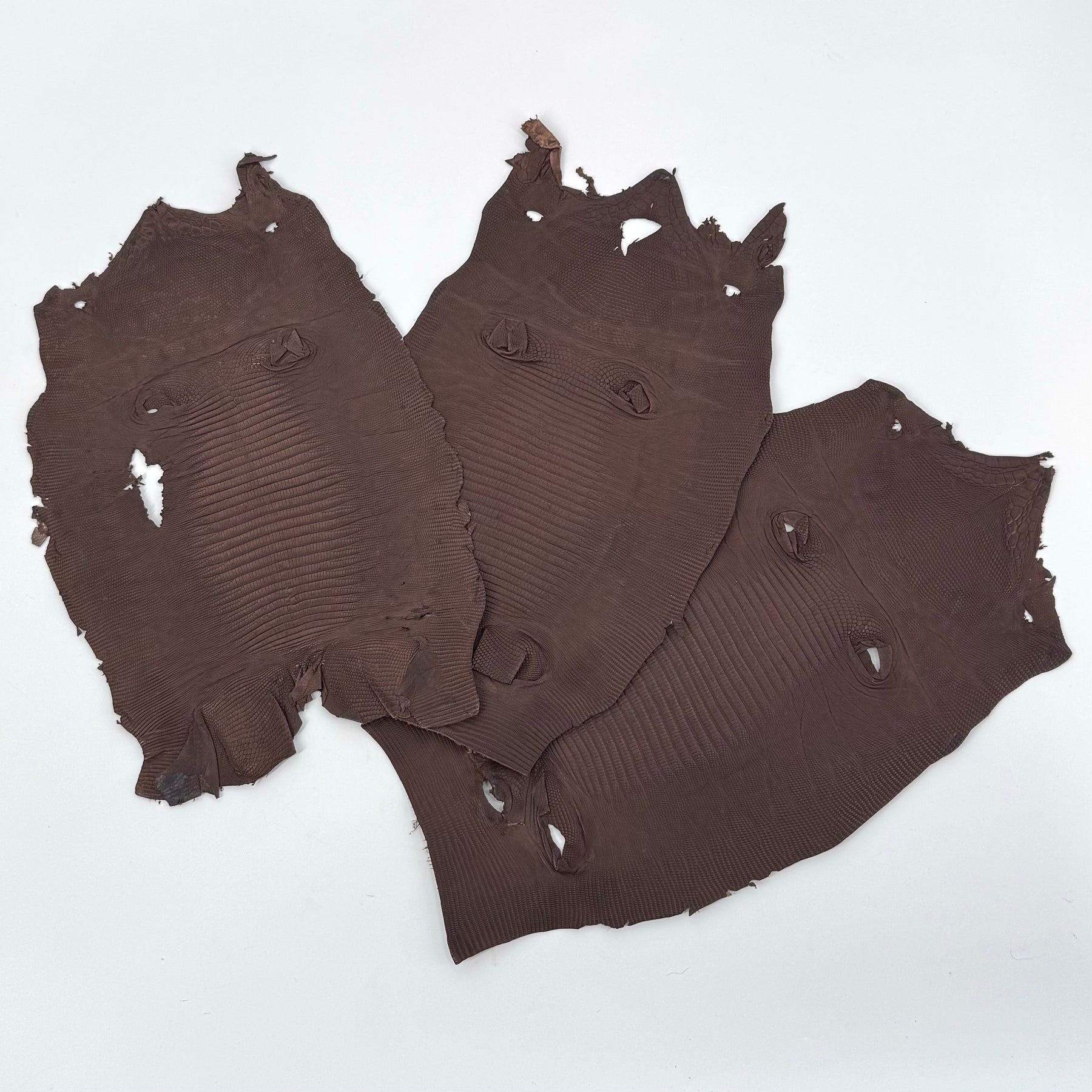 Brown Lizard Skin Bundle of 3 - B#2A | SALE