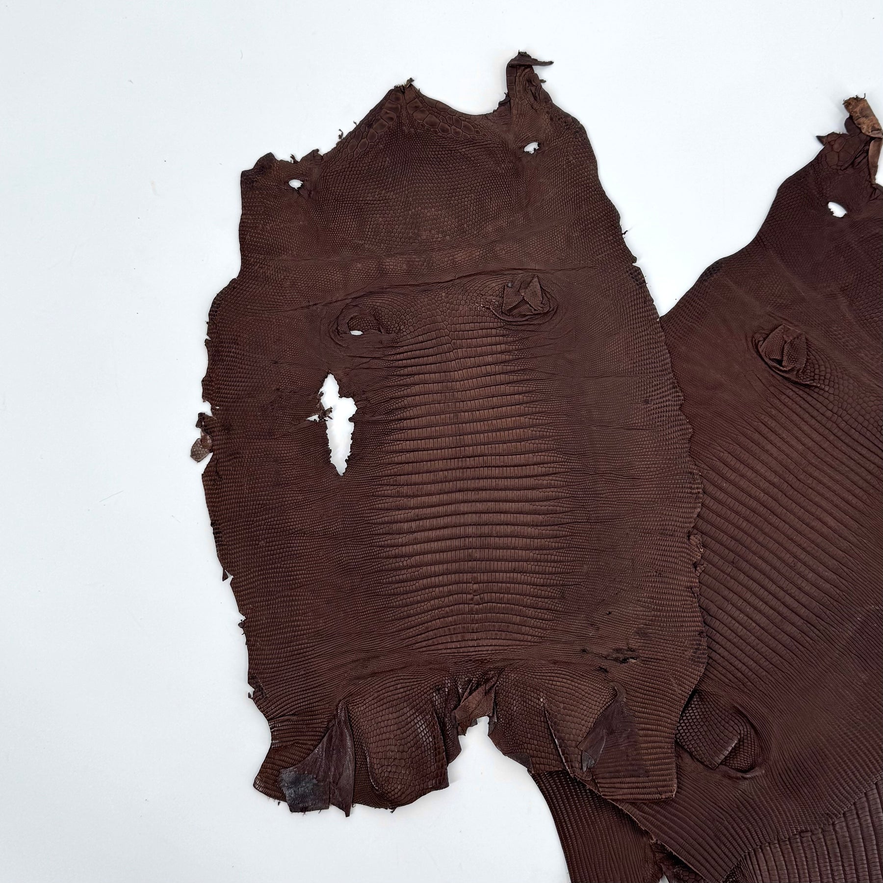 Brown Lizard Skin Bundle of 3 - B#2A | SALE