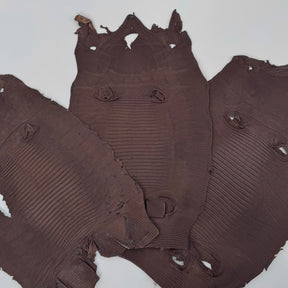 Brown Lizard Skin Bundle of 3 - B#2A | SALE
