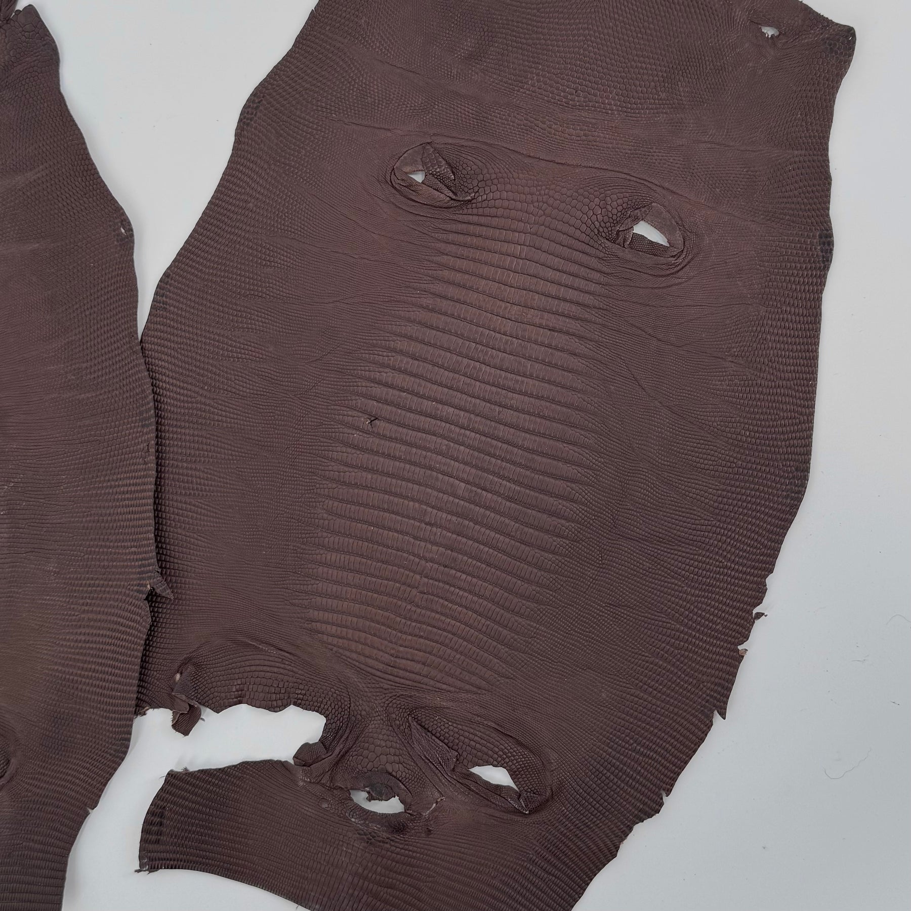 Brown Lizard Skin Bundle of 3 - B#2A | SALE