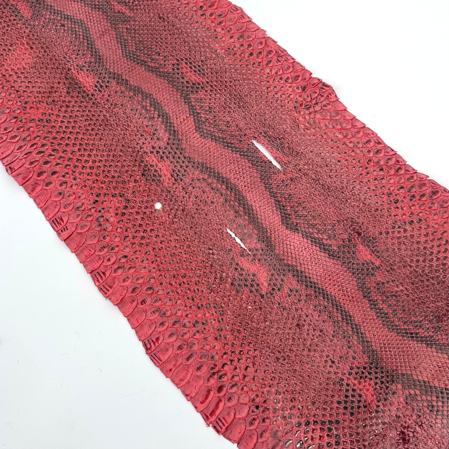 Distressed Black & Red Python Cut - 1 Available (3S) | Sale