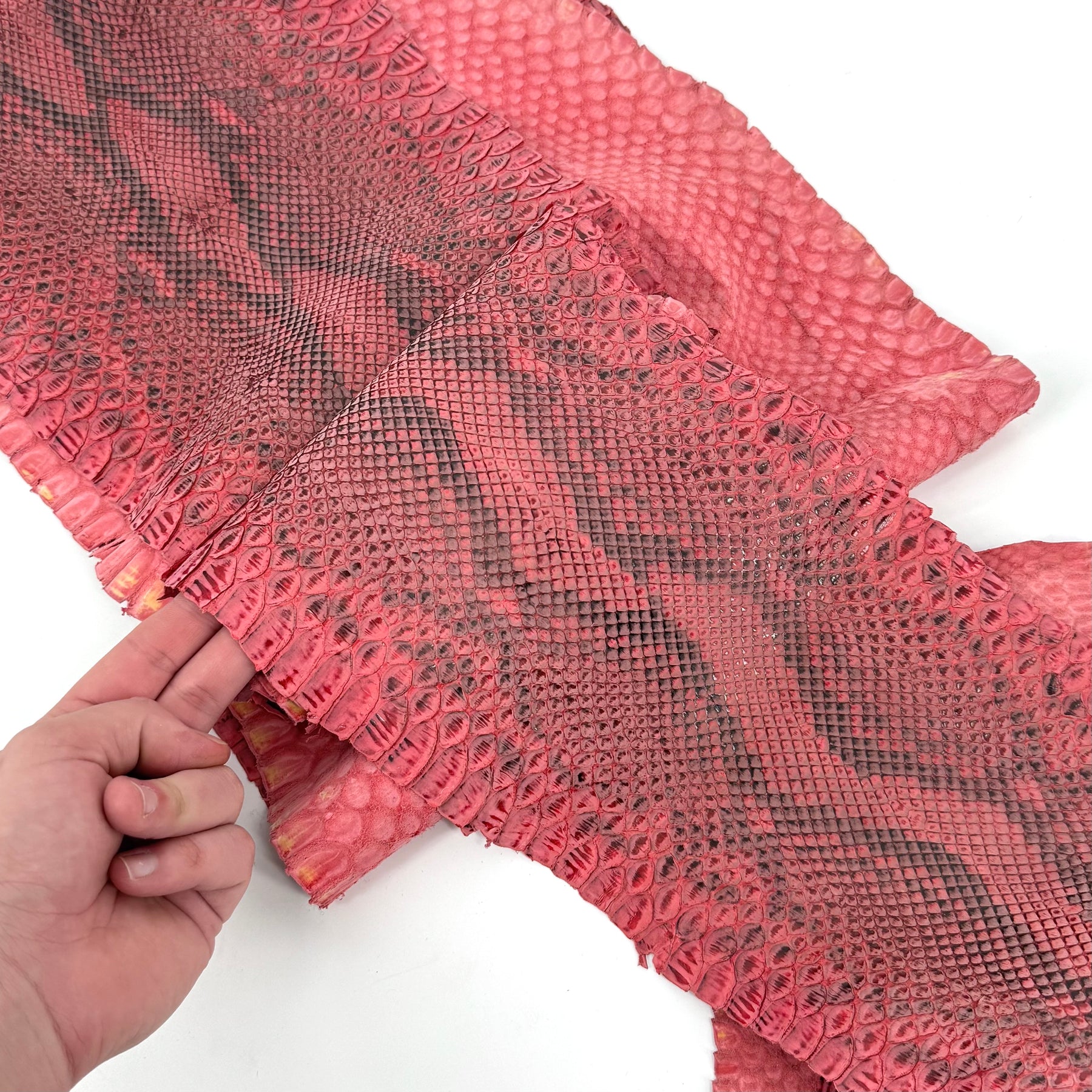 Distressed Black & Red Python Cut - 1 Available (3S) | Sale