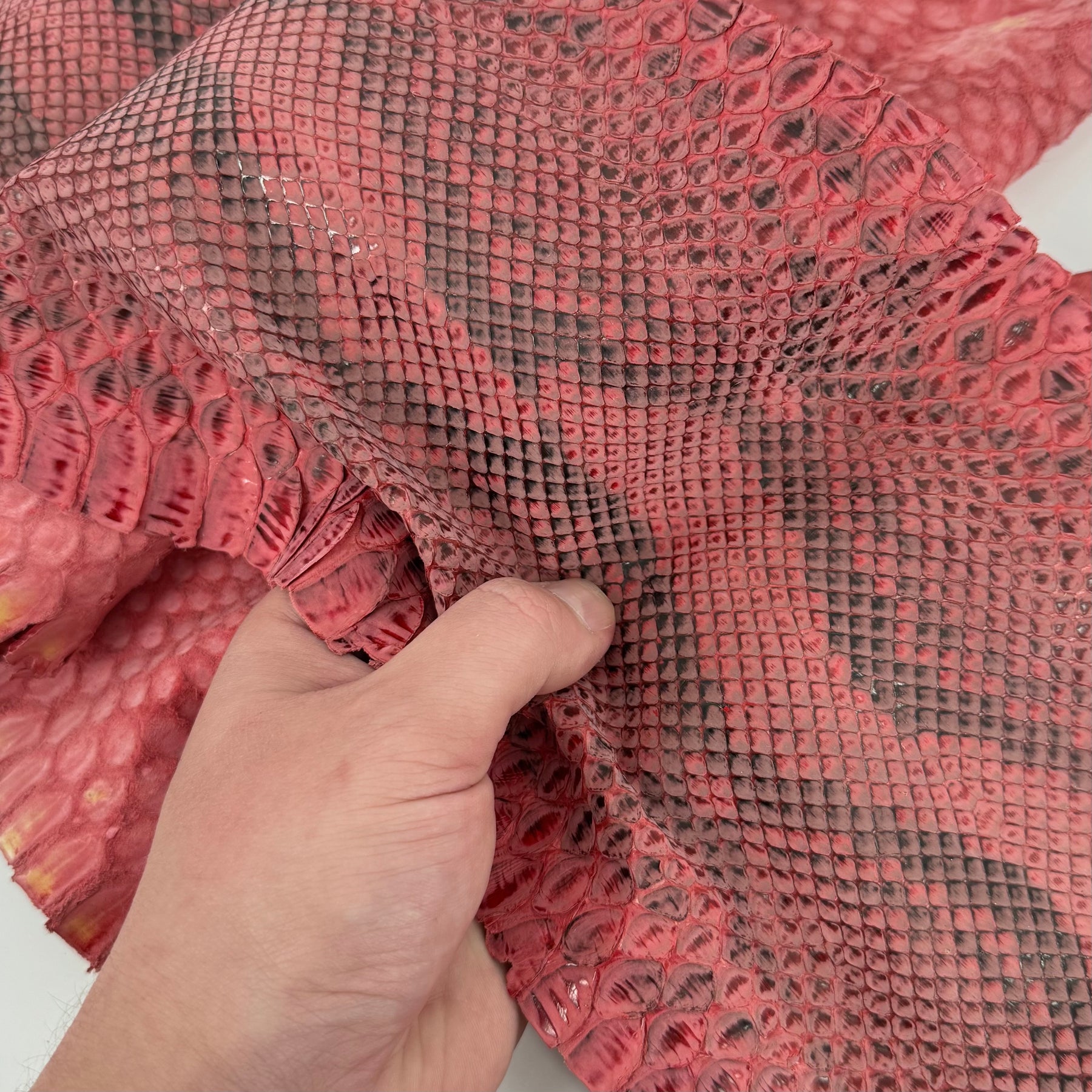 Distressed Black & Red Python Cut - 1 Available (3S) | Sale