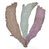 Bundle of 3 Multicolor Pirarucu Tails 6A | SALE