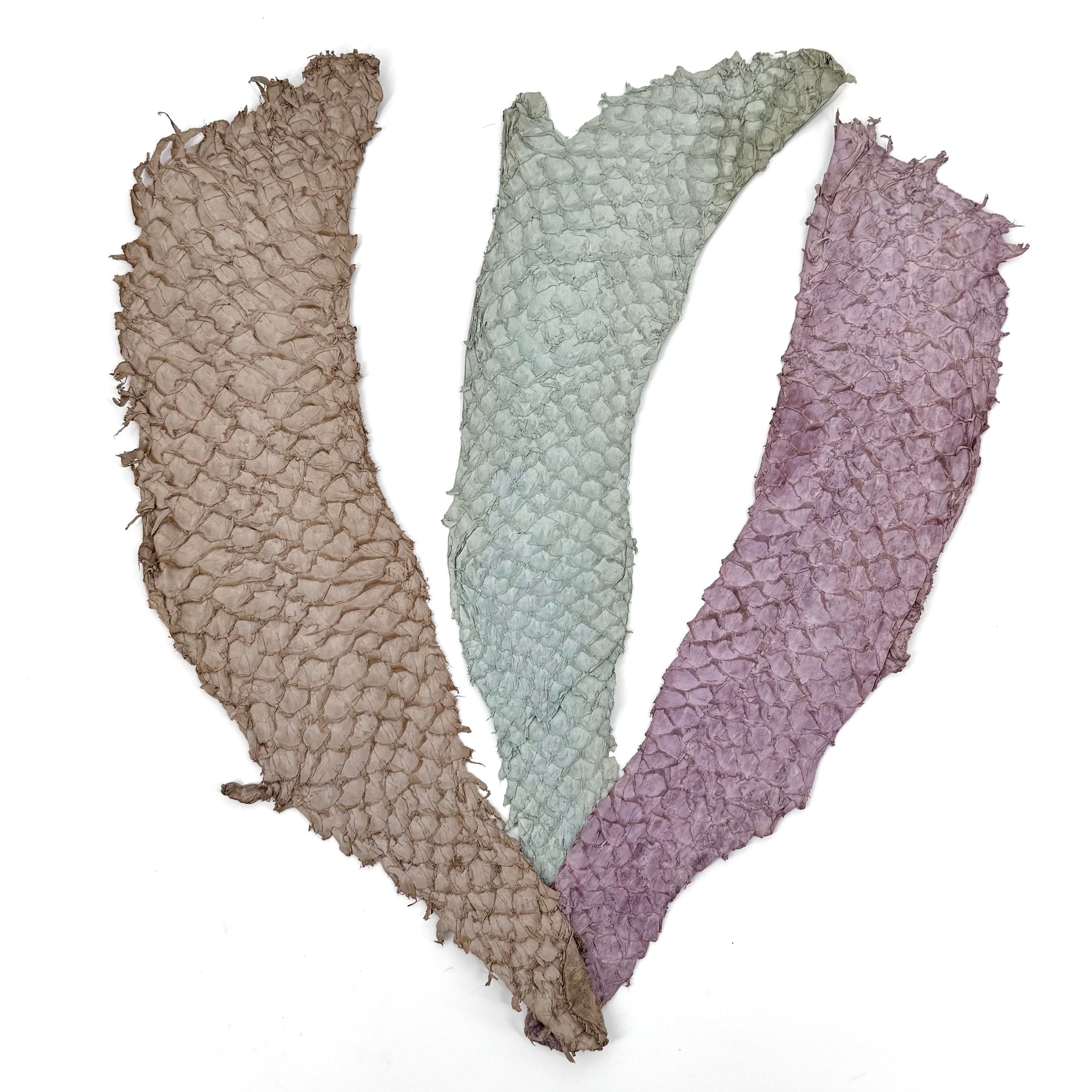 Bundle of 3 Multicolor Pirarucu Tails 6A | SALE