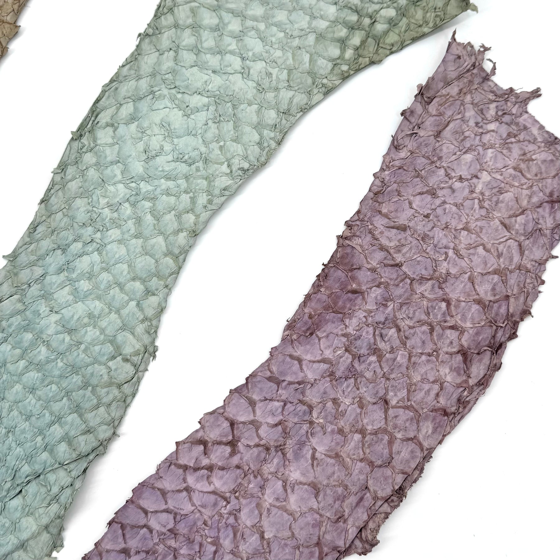 Bundle of 3 Multicolor Pirarucu Tails 6A | SALE