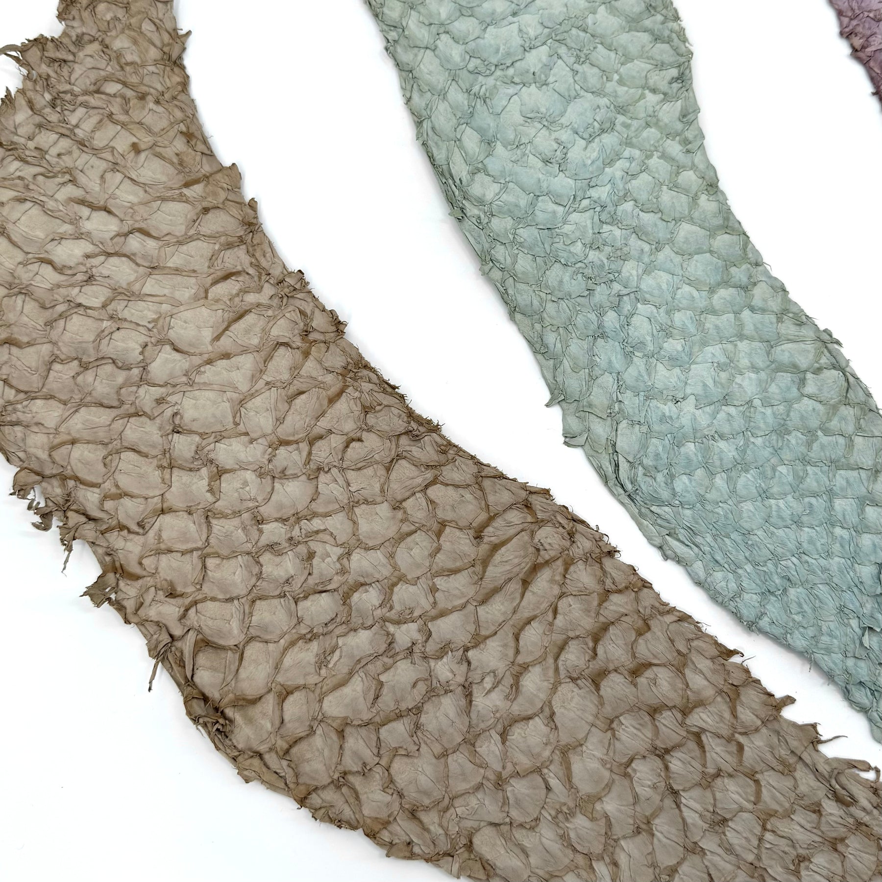 Bundle of 3 Multicolor Pirarucu Tails 6A | SALE