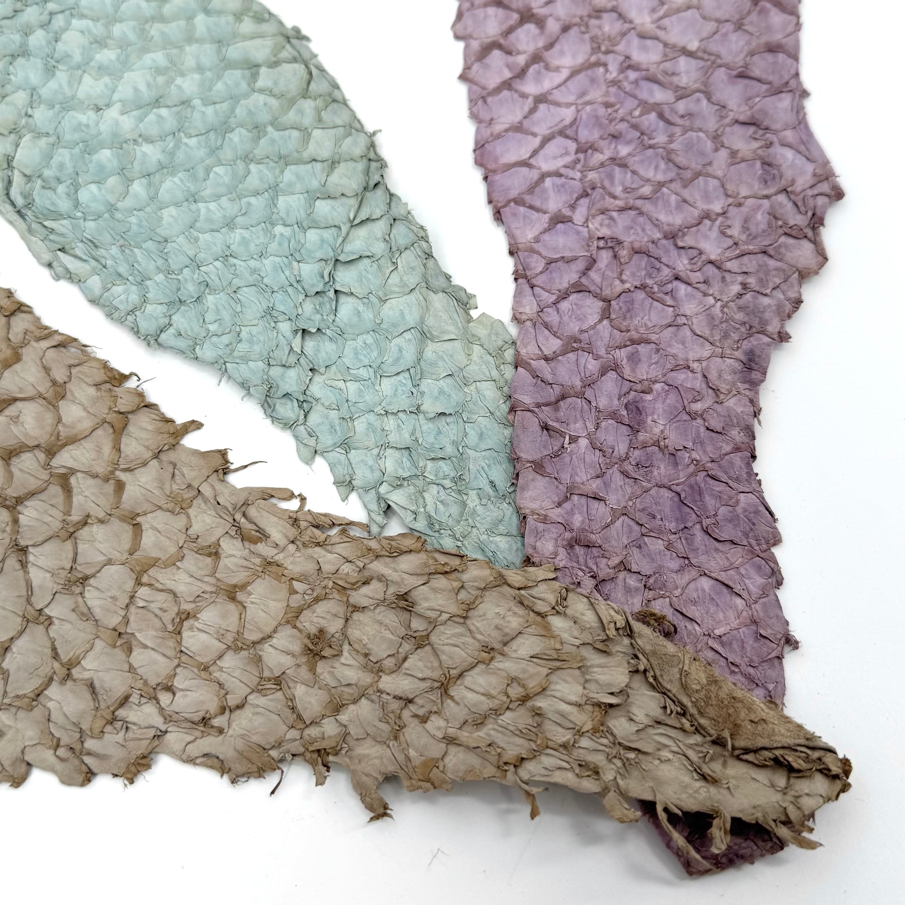 Bundle of 3 Multicolor Pirarucu Tails 6A | SALE