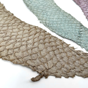 Bundle of 3 Multicolor Pirarucu Tails 6A | SALE