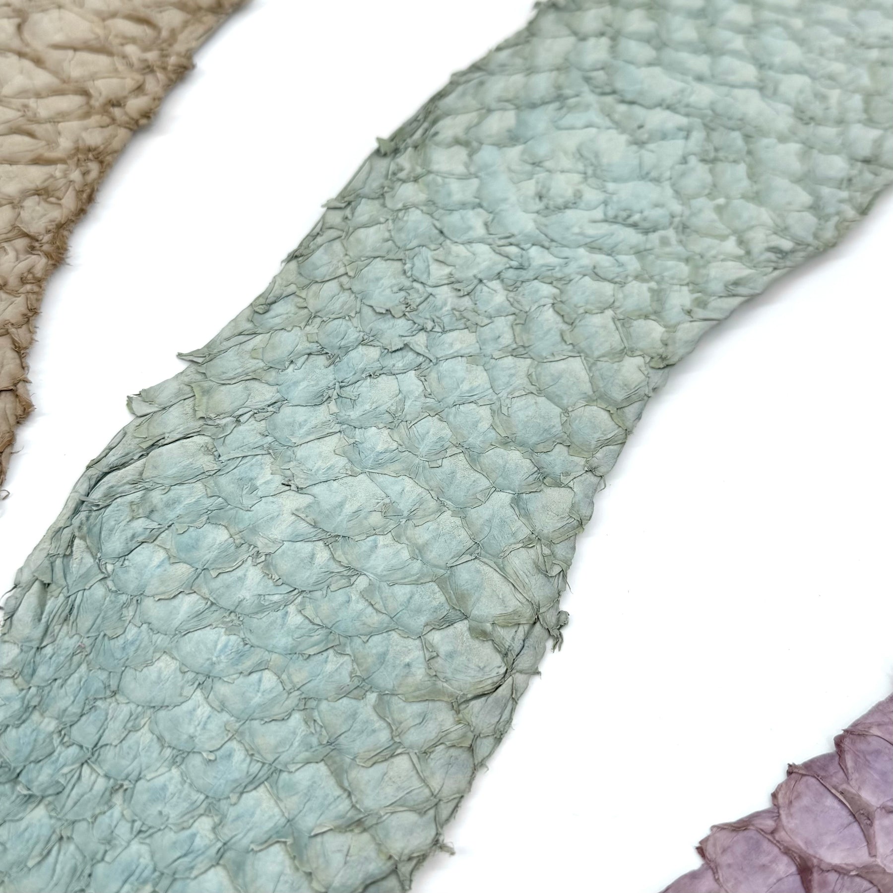 Bundle of 3 Multicolor Pirarucu Tails 6A | SALE